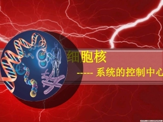 细胞核--系统的控制中心