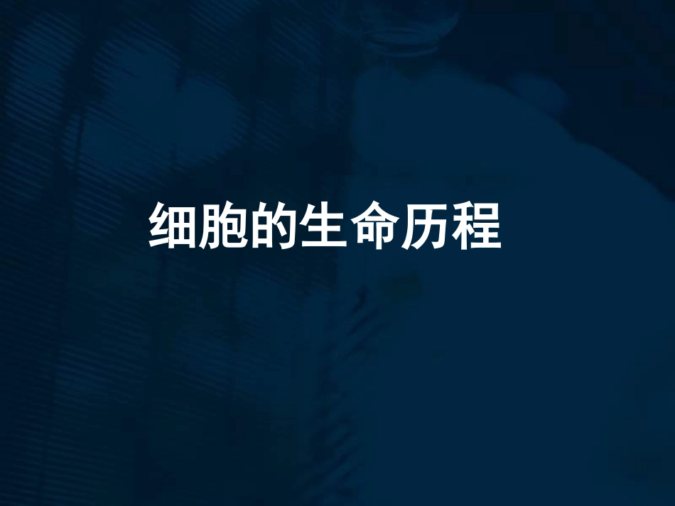 细胞增殖(一轮复习)_第1页
