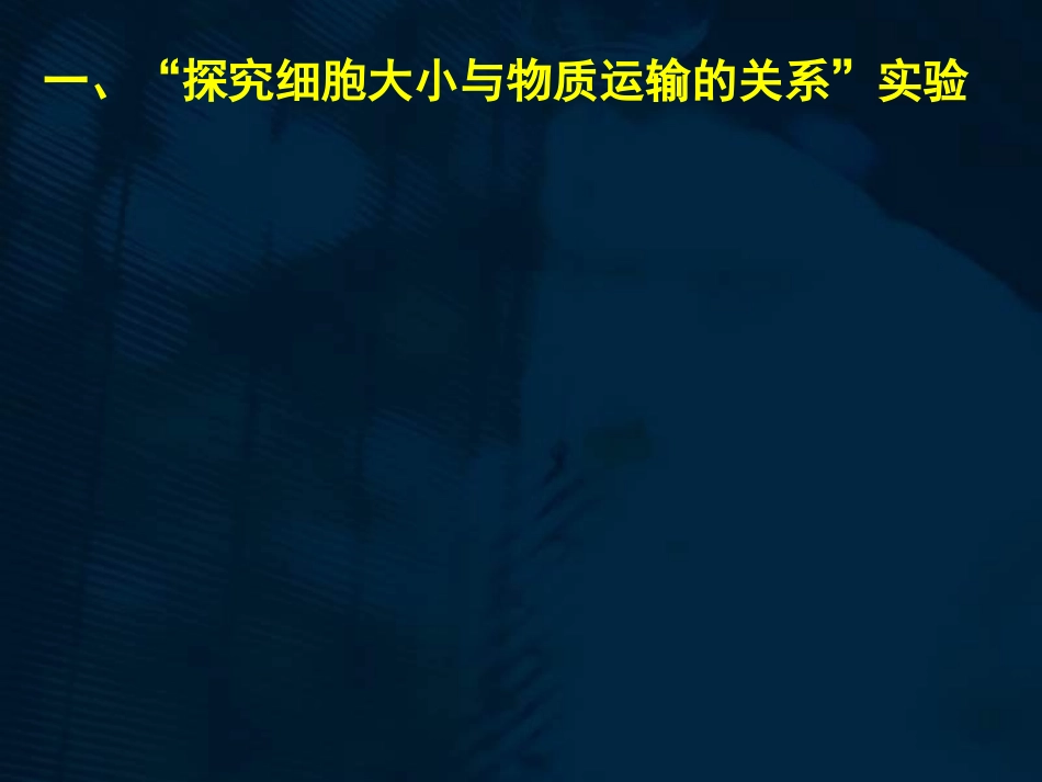 细胞增殖(一轮复习)_第2页
