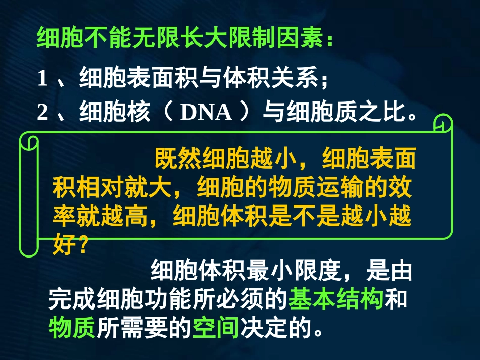 细胞增殖(一轮复习)_第3页