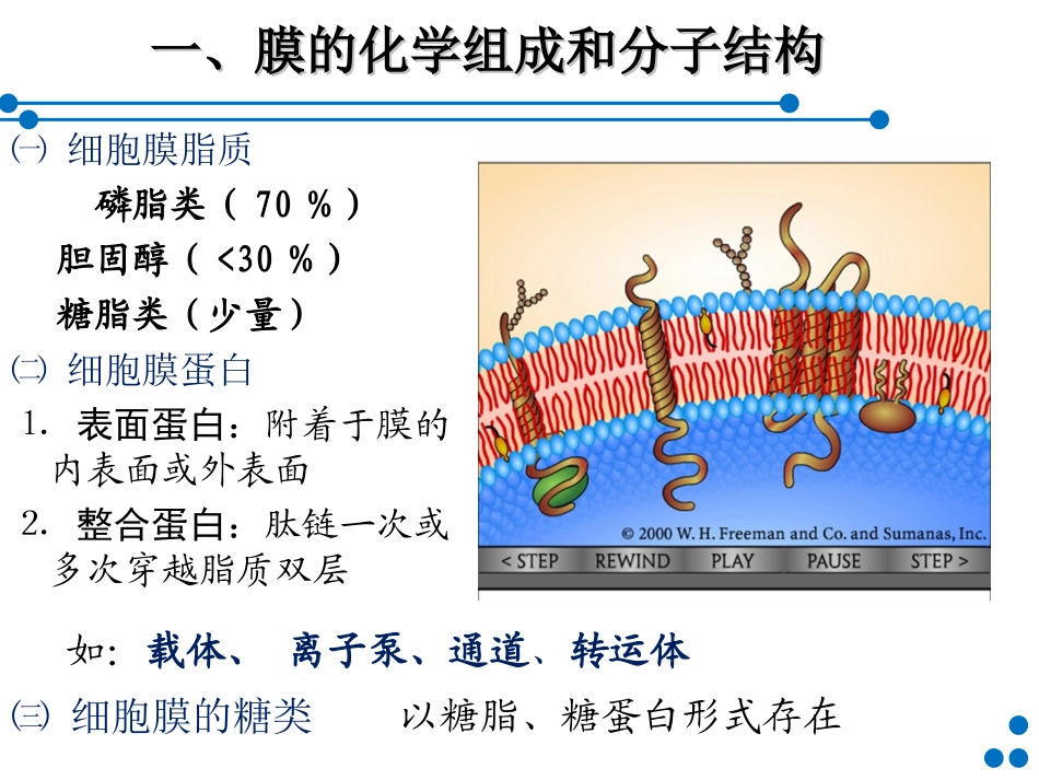 细胞基本功能(60)part1-简版_第3页