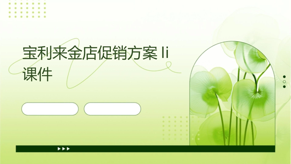宝利来金店促销方案li课件_第1页