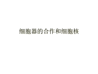细胞器的合作和细胞核