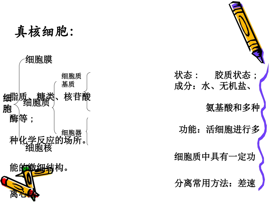 细胞器及其生理功能复习._第3页
