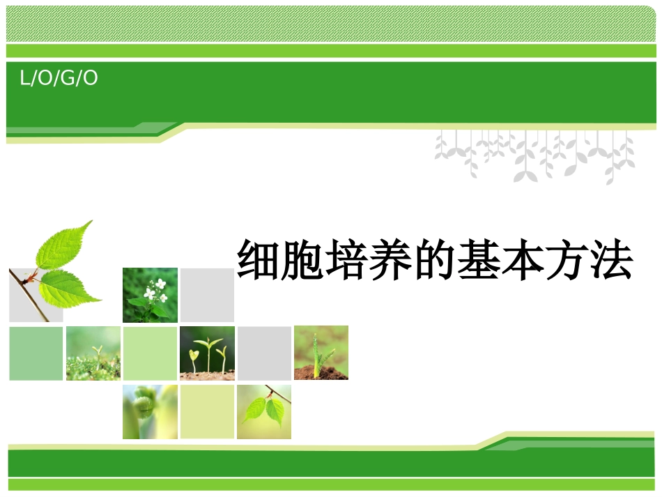 细胞培养的基本方法_第1页