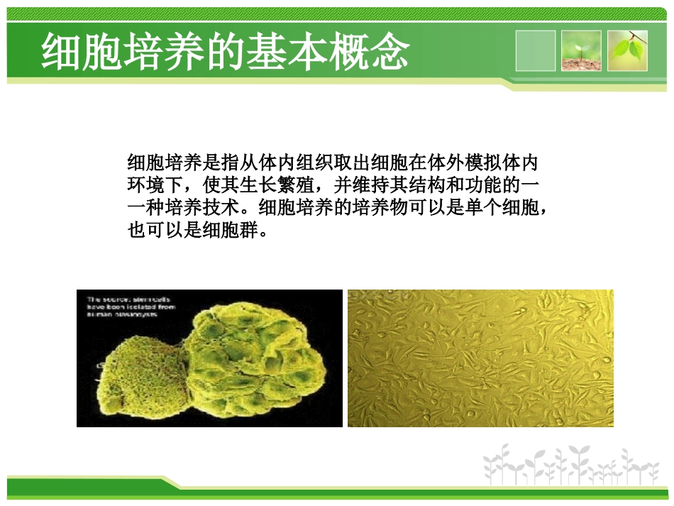 细胞培养的基本方法_第2页