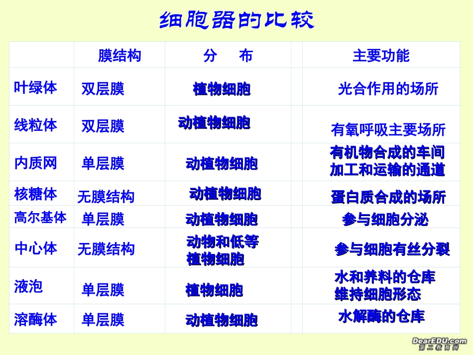 细胞器的协同合作-新课标-人教版_第2页