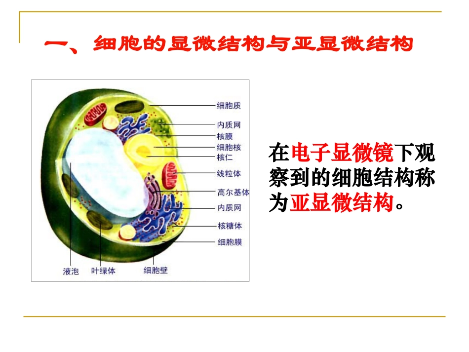 细胞器──系统内的分工合作-ppt_第3页