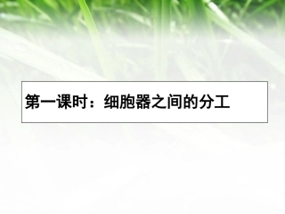 细胞器—系统内的分工与合作Z