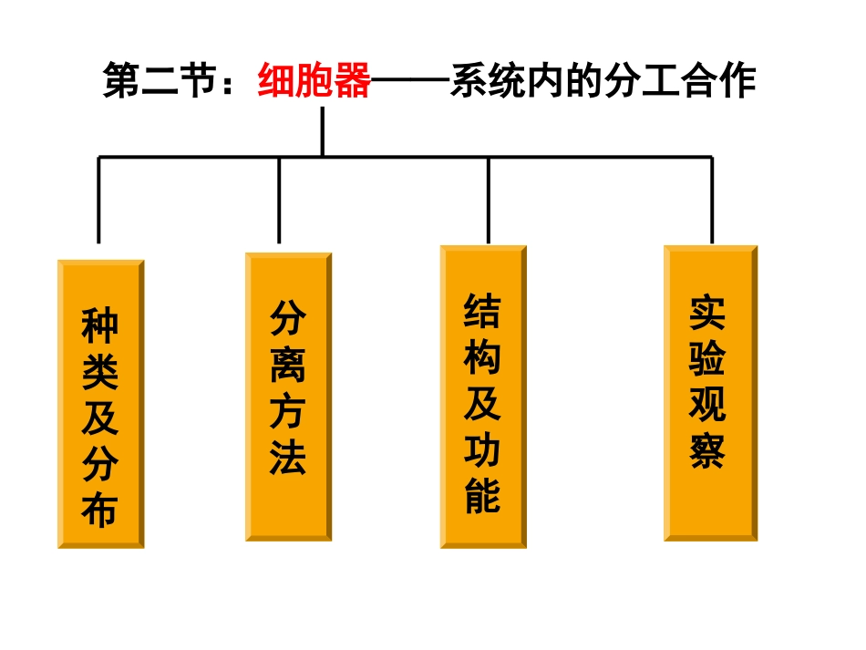 细胞器———系统内的分工合作_第2页