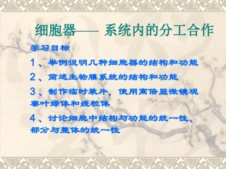 细胞器--系统内的分工合作-第一课时