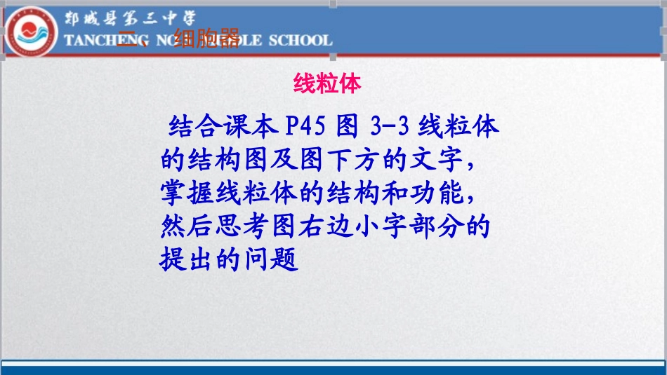 细胞器-系统内的分工合作ppt_第3页