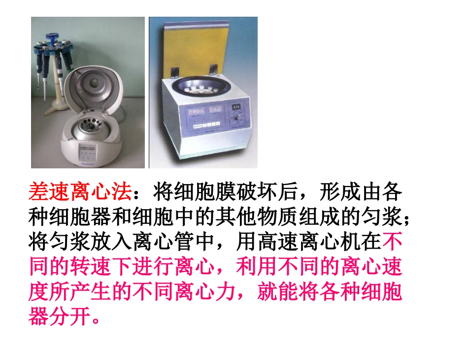 细胞器---系统内的分工合作_第3页