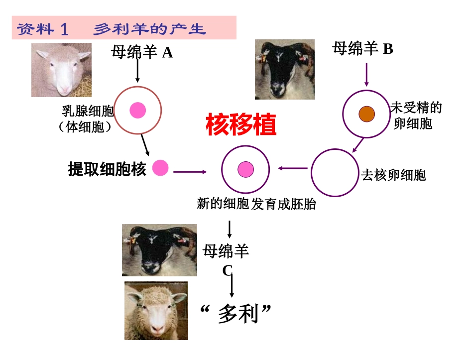 细胞和原核细胞[整理后]_第1页