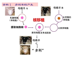 细胞和原核细胞[整理后]
