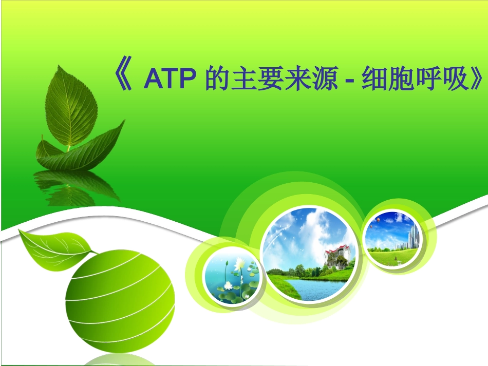 细胞呼吸说课PPT_第1页