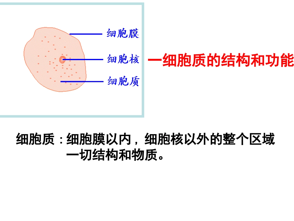 细胞器--系统内的分工与合作_第2页