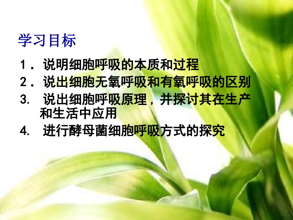 细胞呼吸吕兴洲_第2页
