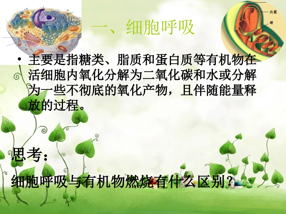 细胞呼吸吕兴洲_第3页