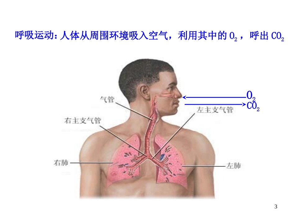 细胞呼吸的概念、反应式和过程.._第3页