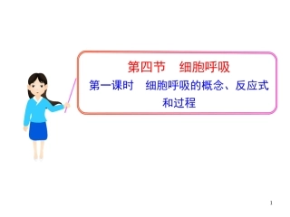 细胞呼吸的概念、反应式和过程..