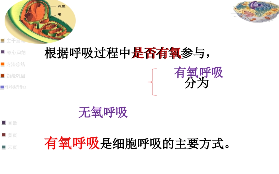 细胞呼吸适合一轮复习自己做的公开课_第1页