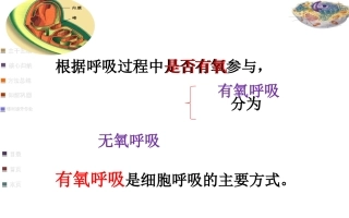 细胞呼吸适合一轮复习自己做的公开课