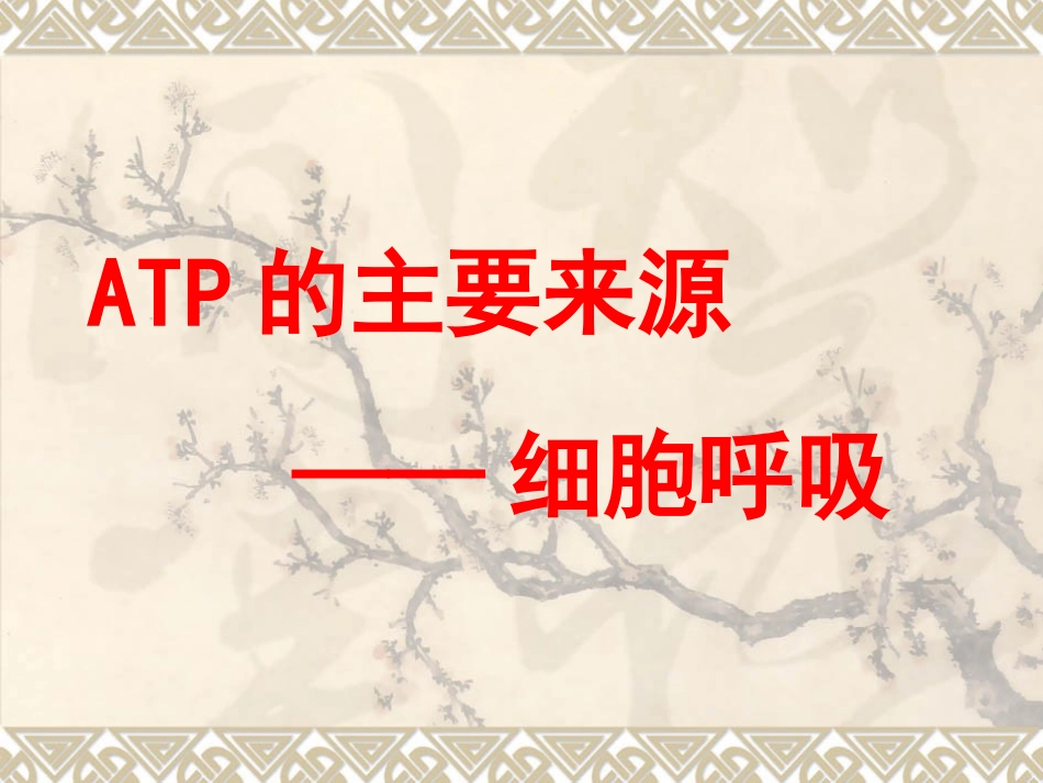 细胞呼吸(一轮复习)_第1页