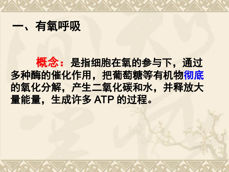 细胞呼吸(一轮复习)_第2页