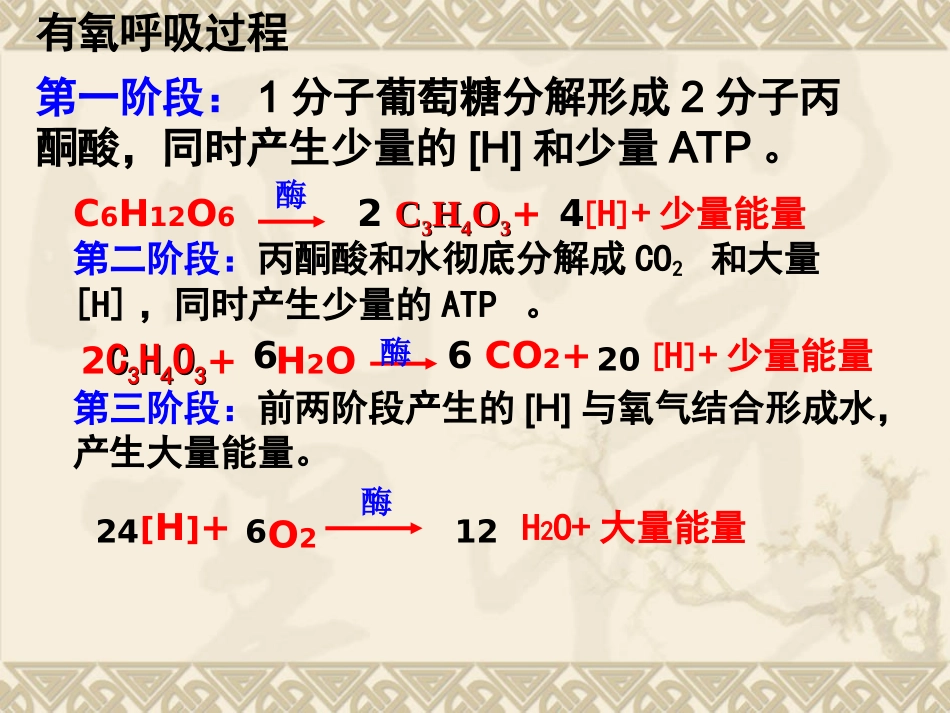 细胞呼吸(一轮复习)_第3页