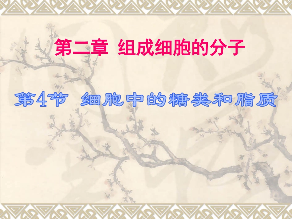 细胞中的糖类和脂质(一轮复习)_第3页