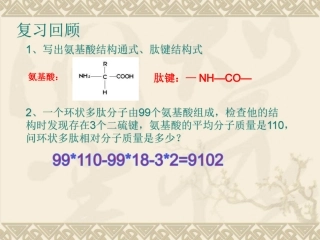 细胞中的糖类和脂质(一轮复习)