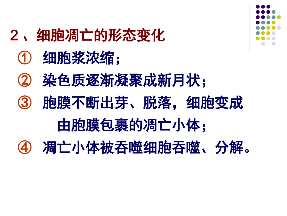 细胞凋亡的机制_第3页