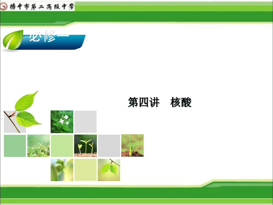 细胞中的核酸.._第1页