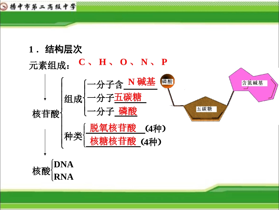 细胞中的核酸.._第2页