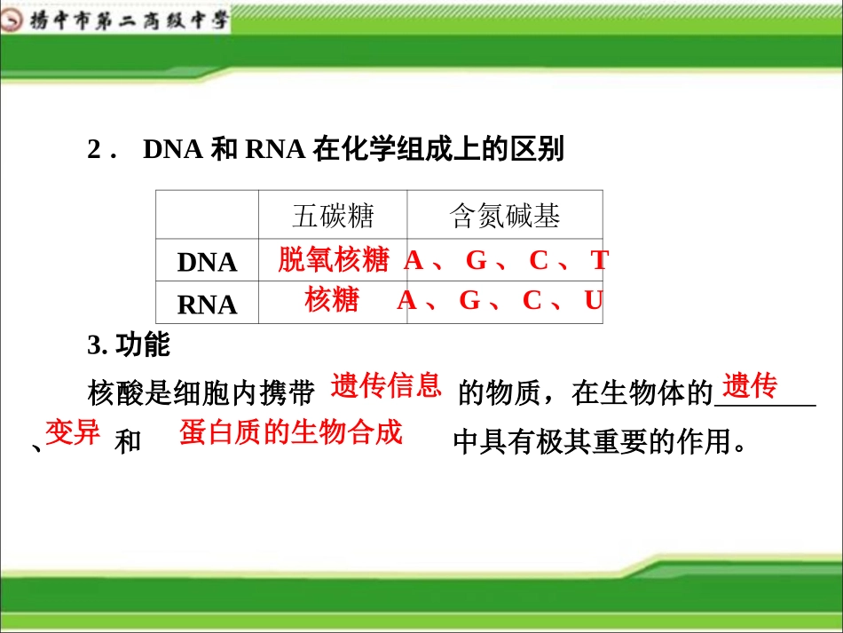 细胞中的核酸.._第3页