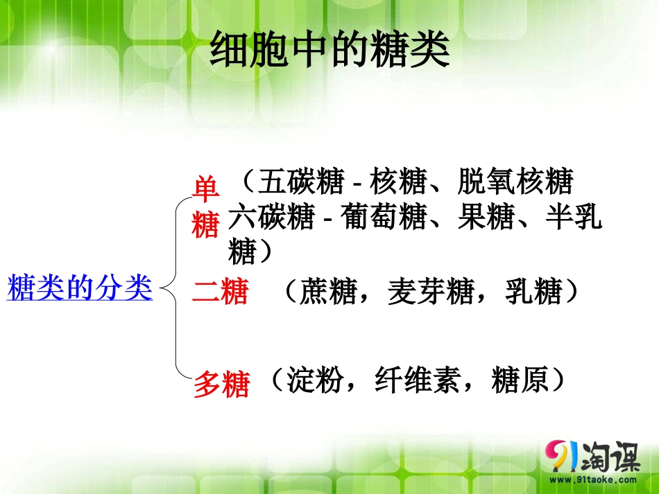 细胞中的无机物-(2)_第1页