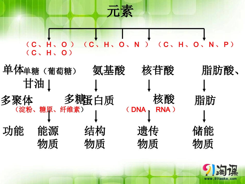 细胞中的无机物-(2)_第3页