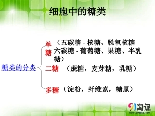 细胞中的无机物-(2)