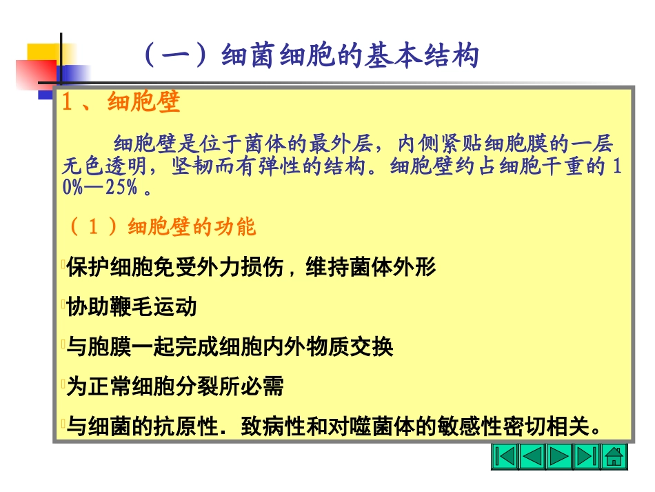 细胞一般结构_第3页