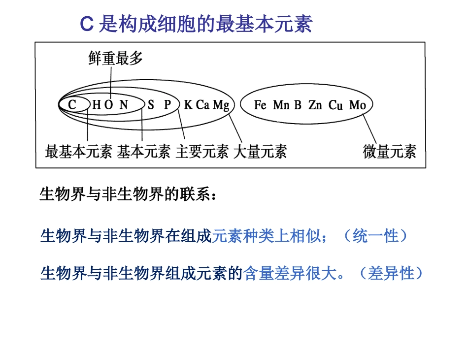 细胞中的元素和化合物-一轮复习_第3页