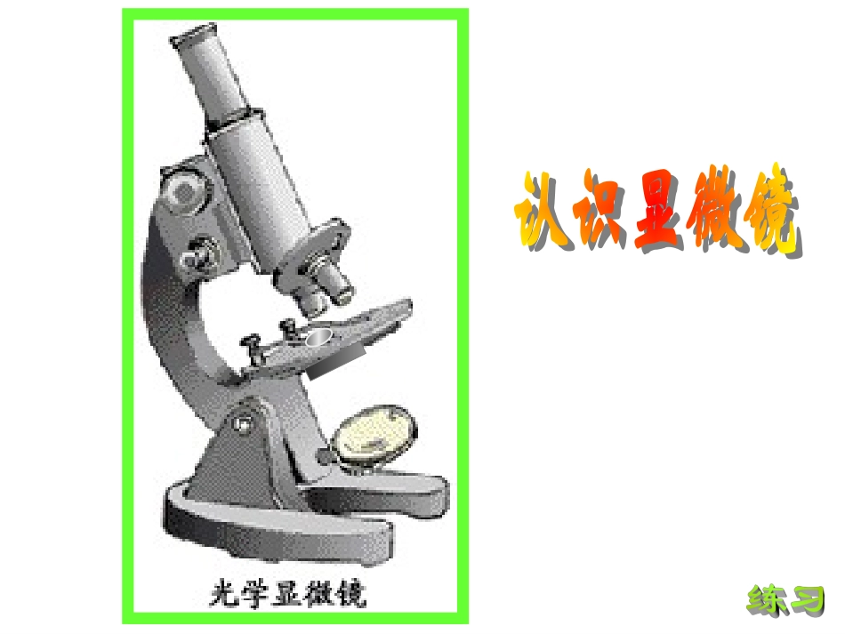 练习使用显微镜2_第2页
