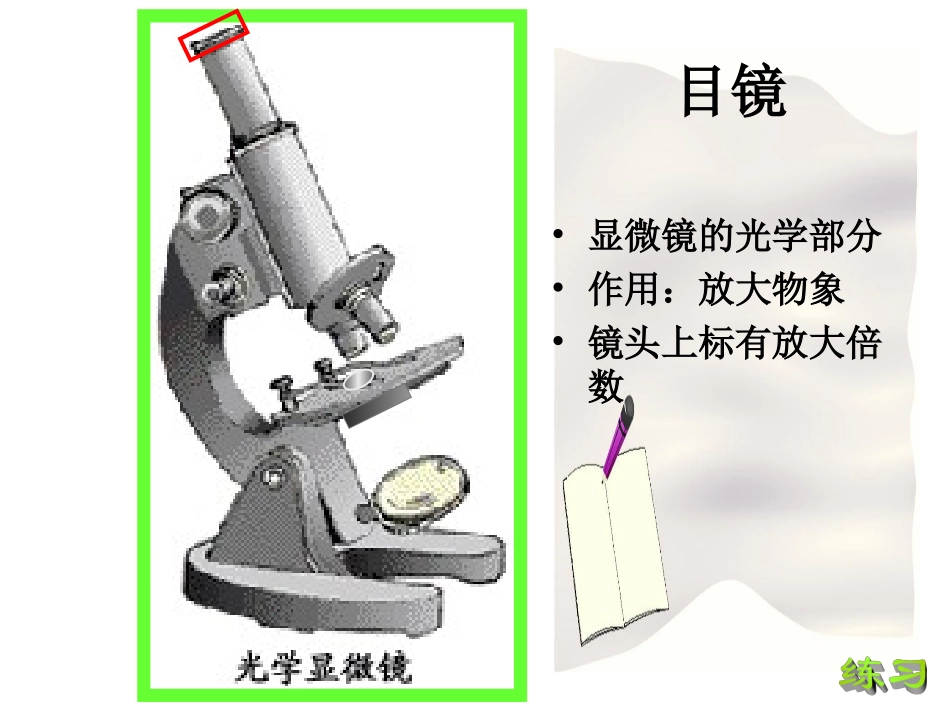 练习使用显微镜2_第3页