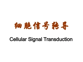 细胞信号转导的分子机制