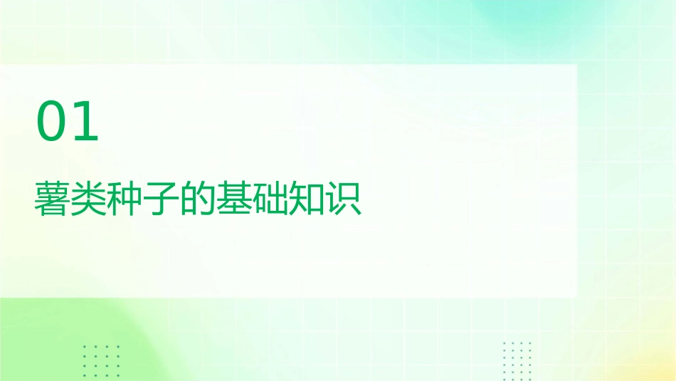 薯类种子生产基本技术薯类种子脱毒的基本操作护理课件_第3页