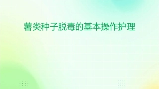 薯类种子生产基本技术薯类种子脱毒的基本操作护理课件