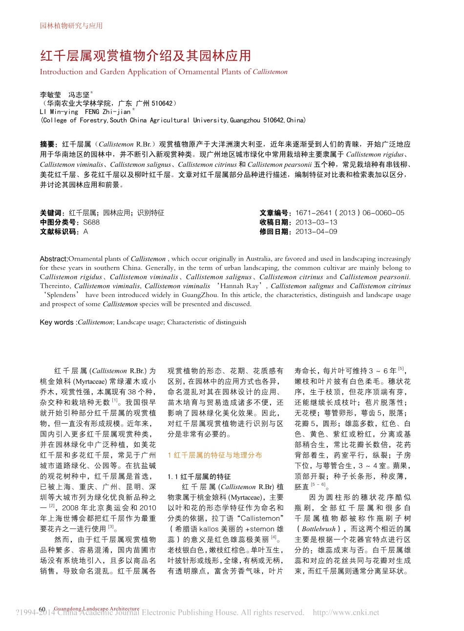 红千层属观赏植物介绍及其园林应用_第1页