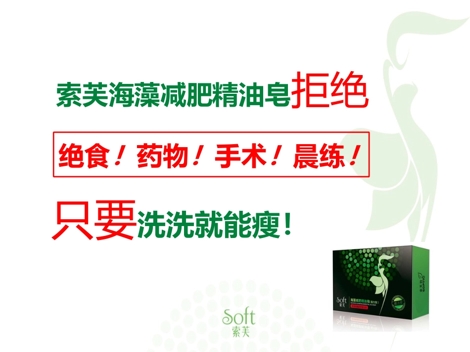 索芙特海藻减肥皂课件_第3页