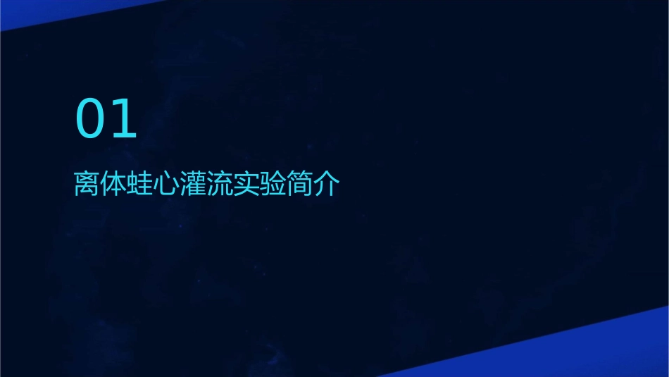 离体蛙心灌流浅谈护理课件_第3页
