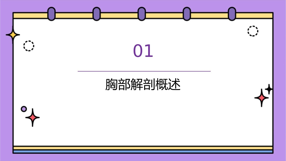 胸部的解剖护理课件_第3页